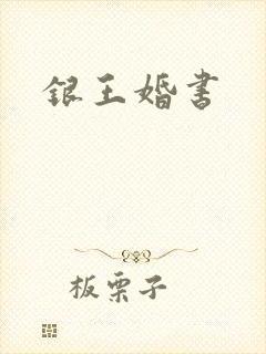 银王婚书封面
