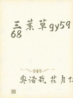 三叶草gy5968