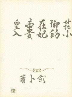 皇帝在御花园进入贵妃的小说