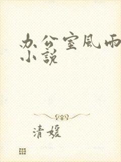 办公室风雨完整小说