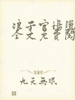 浪子官场猎艳记全文免费阅读