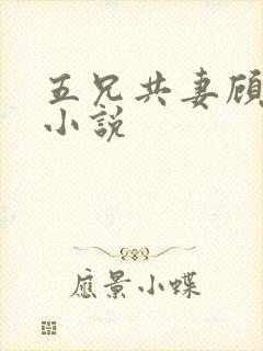五兄共妻顾心儿小说