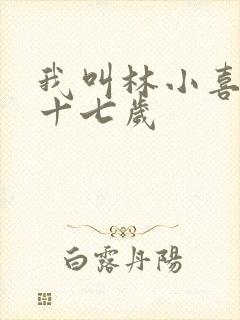 我叫林小喜今年十七岁