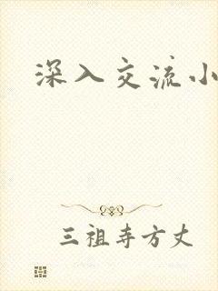 深入交流小说