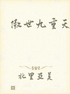 傲世九重天小说