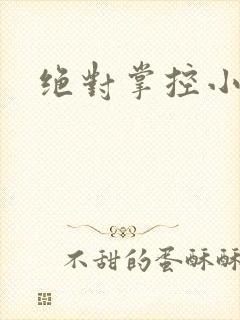 绝对掌控小说