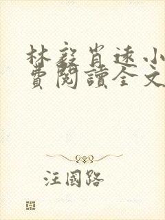 林毅肖远小说免费阅读全文最新章节