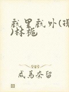 戏里戏外(现场)林栀