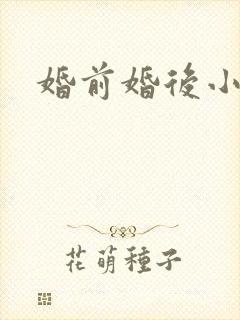 婚前婚后小说