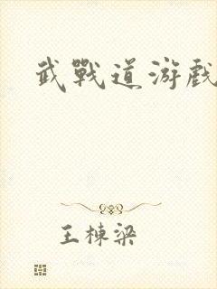 武战道游戏