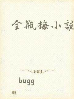 金瓶梅小说下载