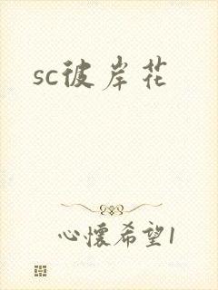 sc彼岸花