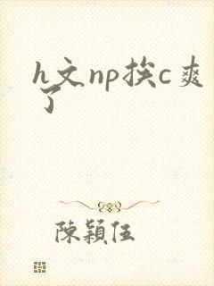 h文np挨c爽了