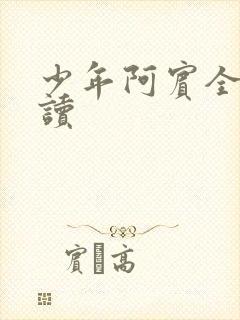 少年阿宾全集阅读