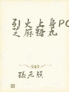 引火上身POP芝麻糖丸