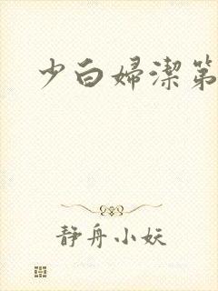 少白妇洁第二部