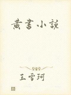 黄书小说