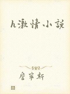 h激情小说