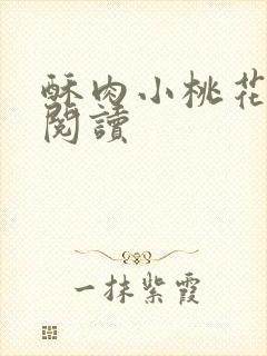 酥肉小桃花全文阅读