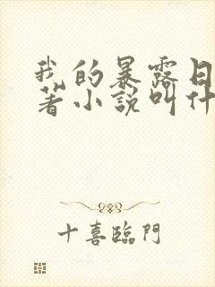 我的暴露日记原著小说叫什么