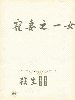 宠妻之一女二夫