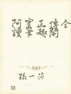 阿宾正传全文阅读笔趣阁