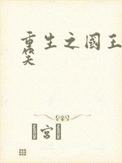 重生之国王的微笑