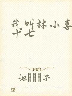 我叫林小喜今年十七