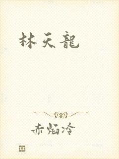 林天龙封面