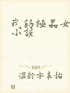 我的极品女老师小说
