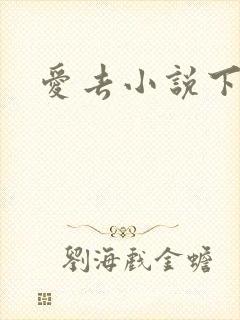 爱去小说下载网