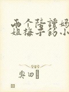 两个陪读妈妈赵姐梅子的小说