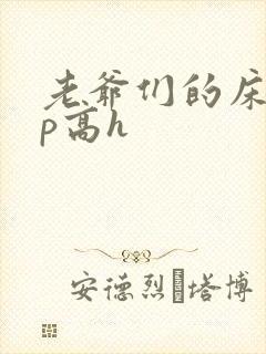 老爷们的床奴np高h