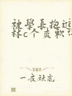 被学长抱进小树林c个爽软件