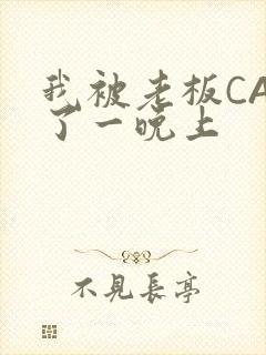 我被老板CAO了一晚上