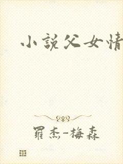 小说父女情深封面