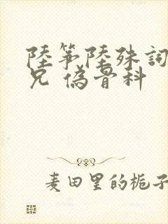 《陆筝陆殊词 养兄 伪骨科》小说封面