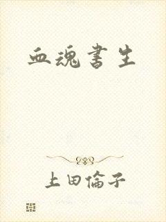 血魂书生