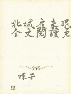 北城夜未眠小说全文阅读免费