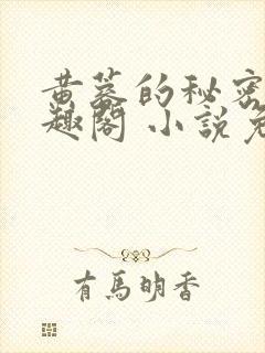 黄蓉的秘密 笔趣阁 小说免费阅读下载