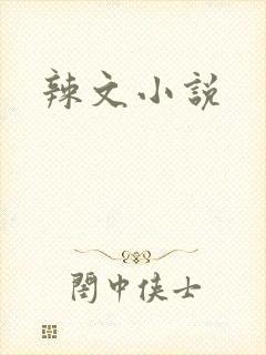 辣文小说