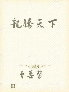 龙腾天下