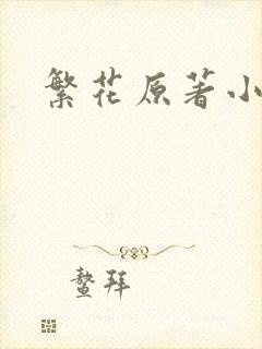 繁花原著小说