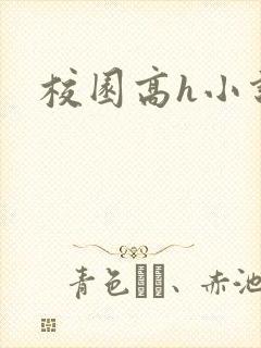 校园高h小说