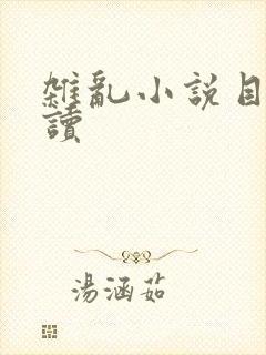 杂乱小说目录阅读