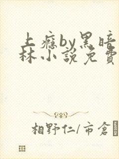 上瘾by黑暗森林小说免费