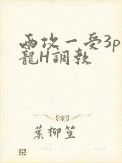 两攻一受3p双龙H调教