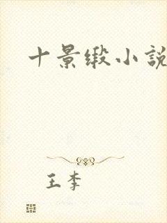 十景缎小说