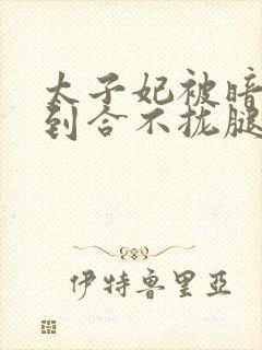 太子妃被暗卫C到合不拢腿