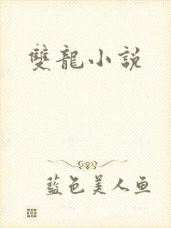 双龙小说